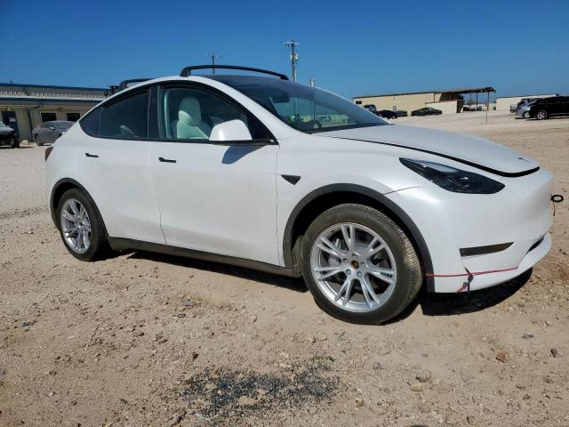 Tesla Model Y Image 12