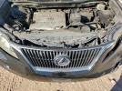 Lexus RX 350 Image 7