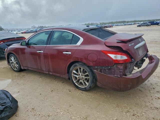 Nissan Maxima S Image 2