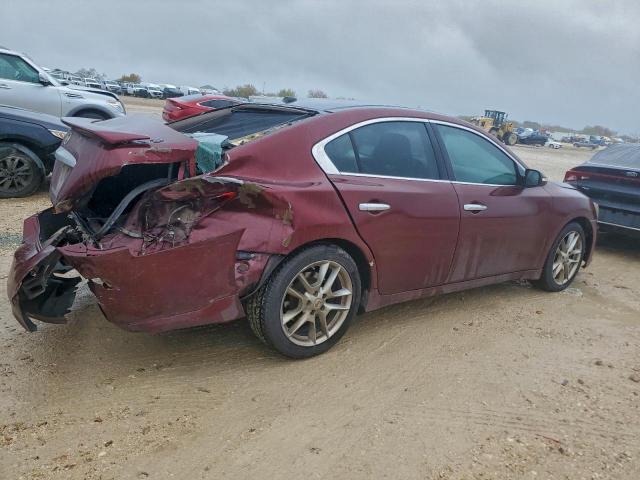 Nissan Maxima S Image 3